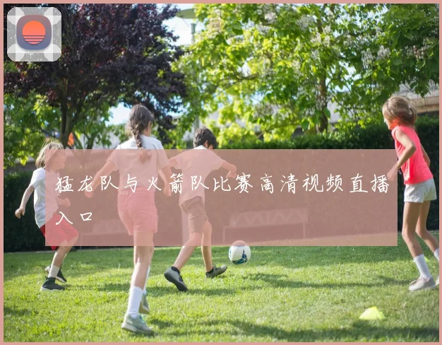 猛龙队与火箭队比赛高清视频直播入口