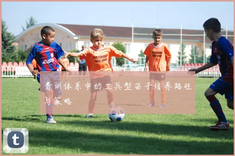 青训体系中的工兵型苗子培养路径与策略