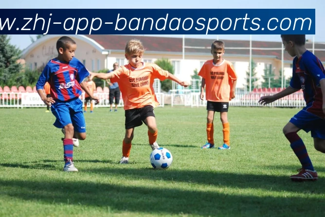 半岛体育APP 高清赛事图